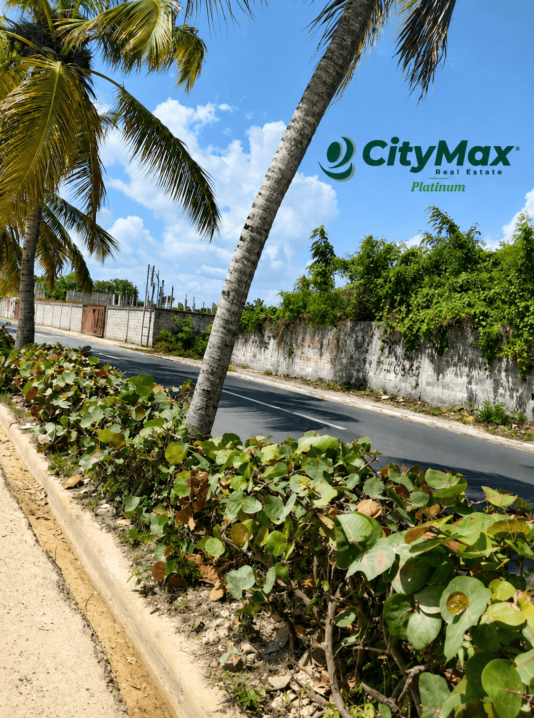 Solar Comercial en Venta – Autopista Las Américas  - foto 1