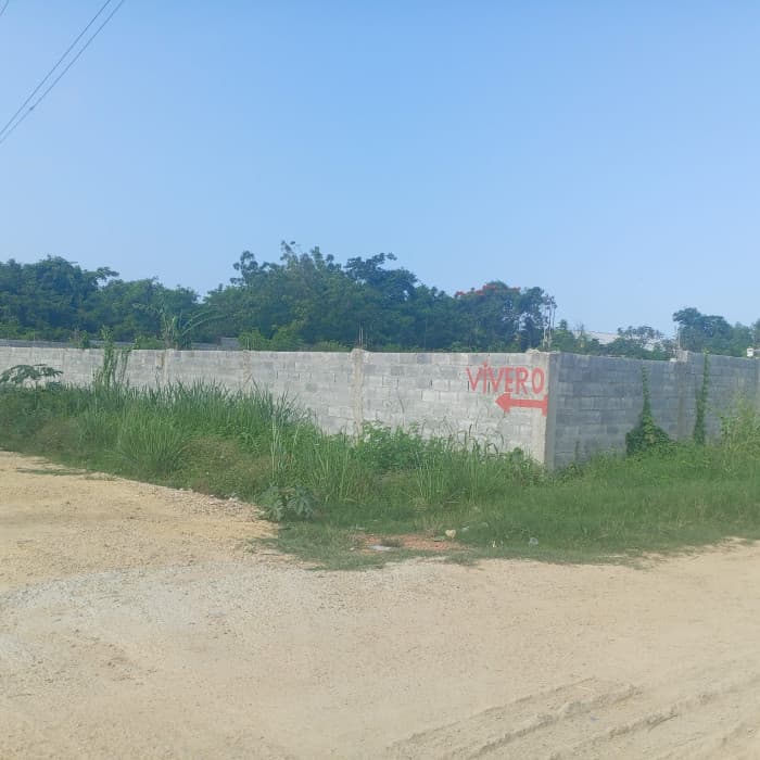 Solar Comercial en Venta – Autopista Las Américas  - foto 1