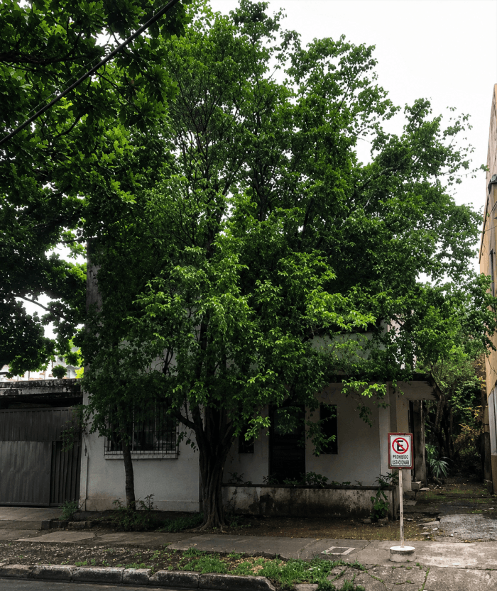 Venta de Terreno-Casa para inversionistas en Gazcue - foto 1