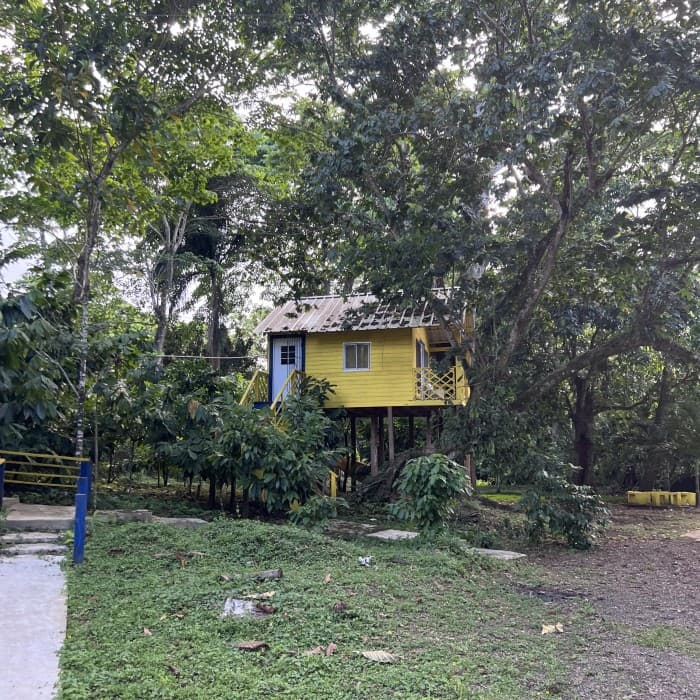 En Venta Finca Ubicada en Miches, El Seibo  - foto 1