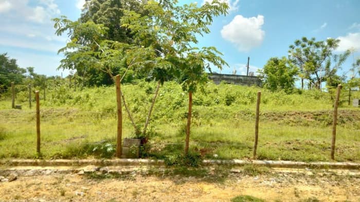 Venta de Terrenos en Residencial Noelia, Sabana Perdida - foto 1