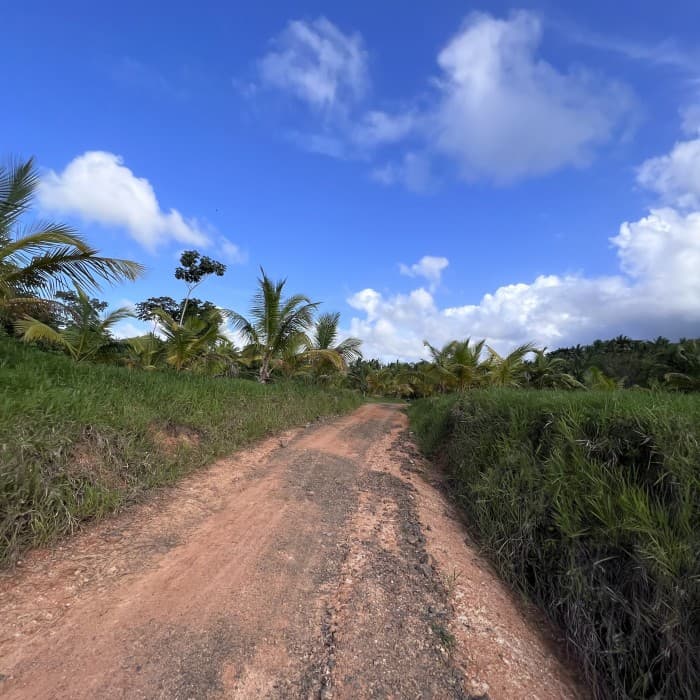 En Venta Finca Ubicada en Miches, El Seibo  - foto 3