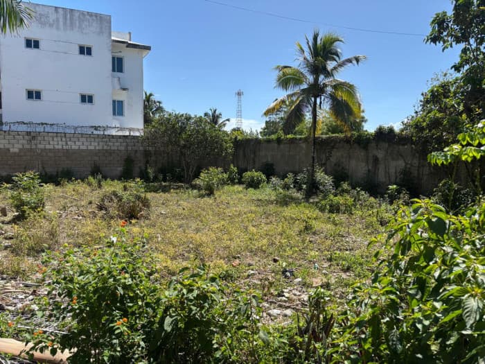 Terreno en Venta, oportunidad comercial en Juan Dolio - foto 4
