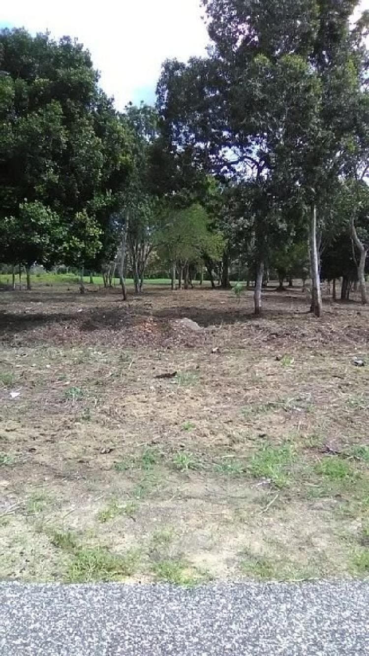 Terreno vacacional en Venta en Juan Dolio - foto 2
