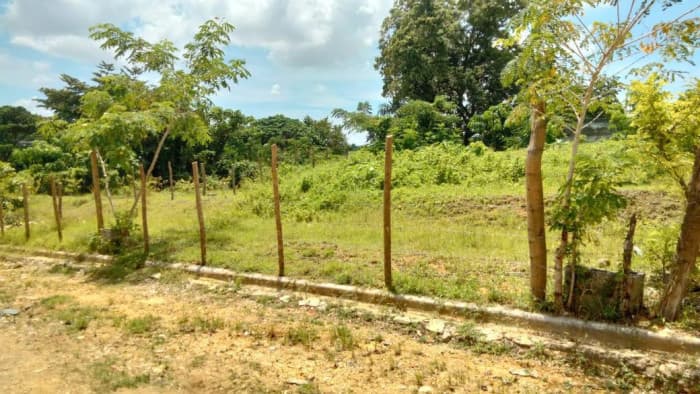 Venta de Terrenos en Residencial Noelia, Sabana Perdida - foto 3