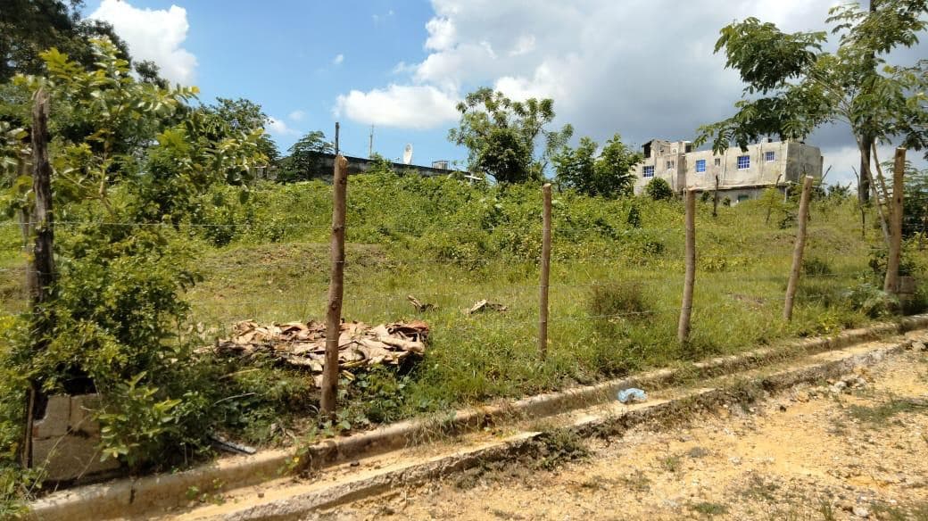 Venta de Terrenos en Residencial Noelia, Sabana Perdida - foto 2