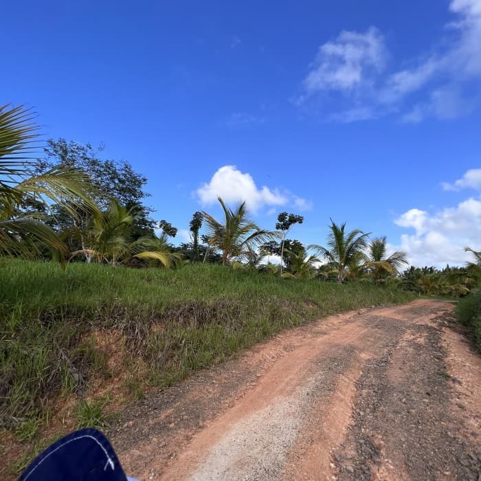 En Venta Finca Ubicada en Miches, El Seibo  - foto 4