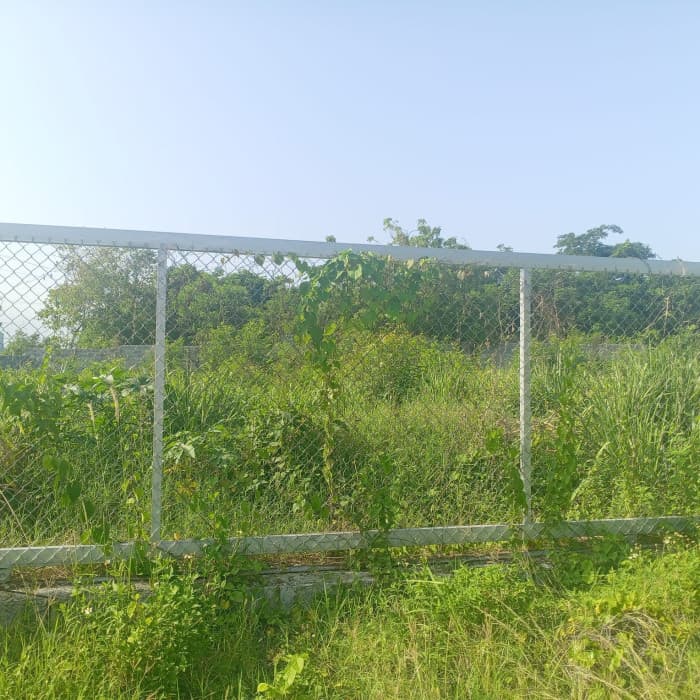 Solar Comercial en Venta – Autopista Las Américas  - foto 3