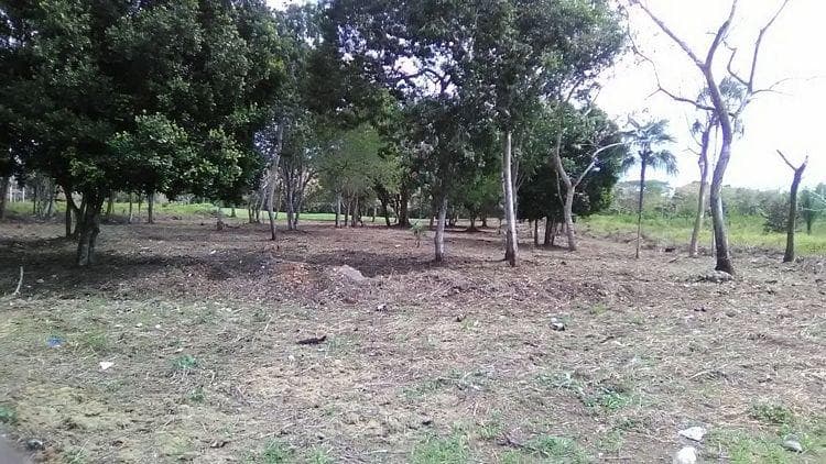 Terreno vacacional en Venta en Juan Dolio - foto 3