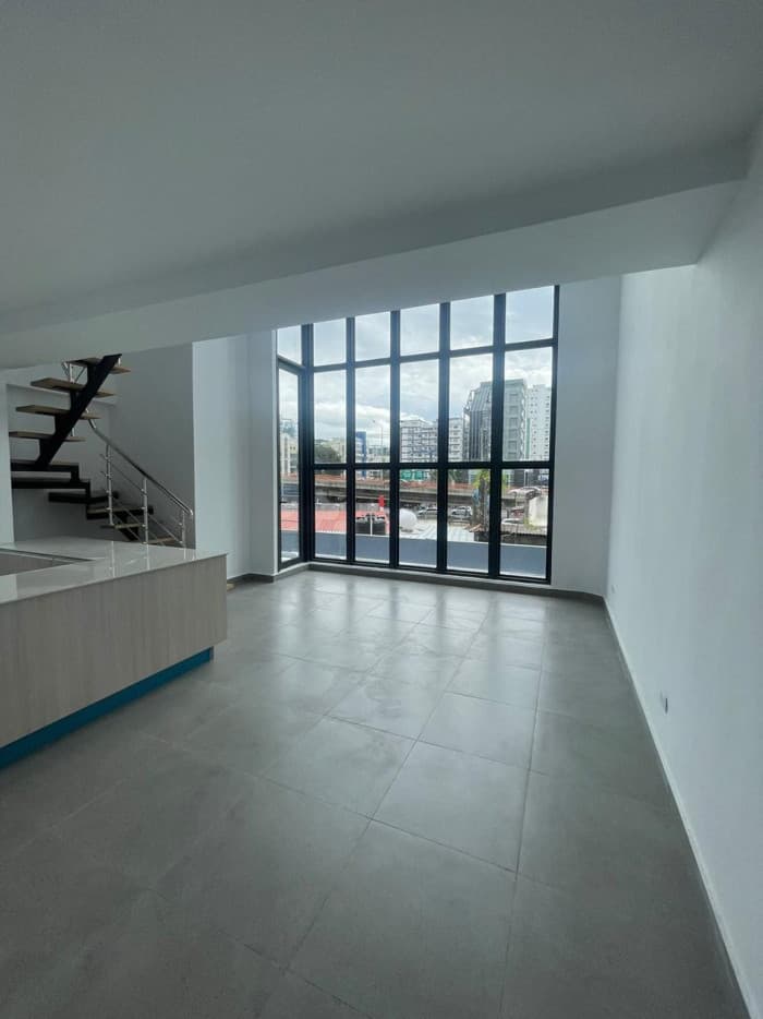 Venta de apartamento tipo Loft en Naco - foto 4