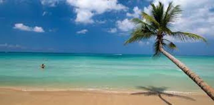 Apartamento en Venta en Las Terrenas Samana - foto 3