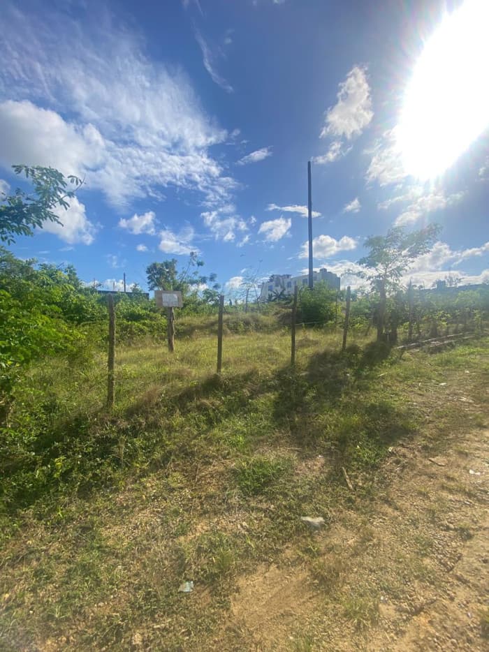 Venta de Terrenos en Residencial Noelia, Sabana Perdida - foto 4