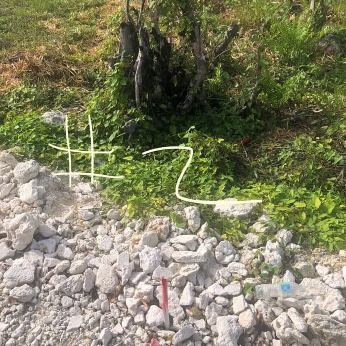 En Venta Terreno ubicado en Bávaro Punta Cana - foto 2