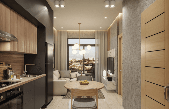 Apartamento en Venta con Amenidades en Evaristo Morales - foto 3
