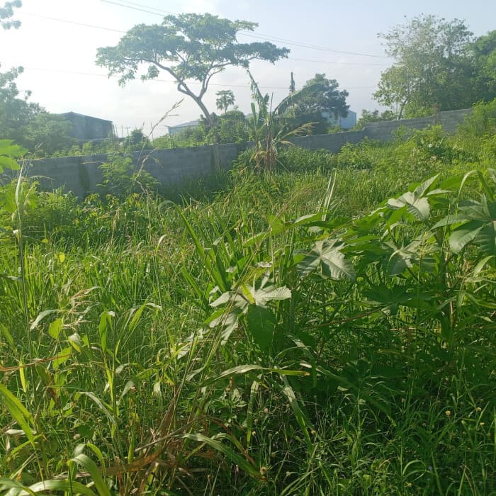 Solar Comercial en Venta – Autopista Las Américas  - foto 4