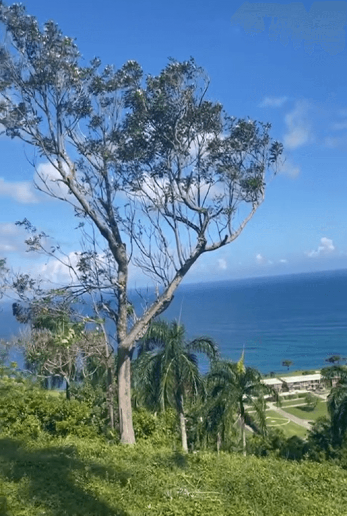 Terreno en Venta proximo a Playa Grande: Río San Juan - foto 2