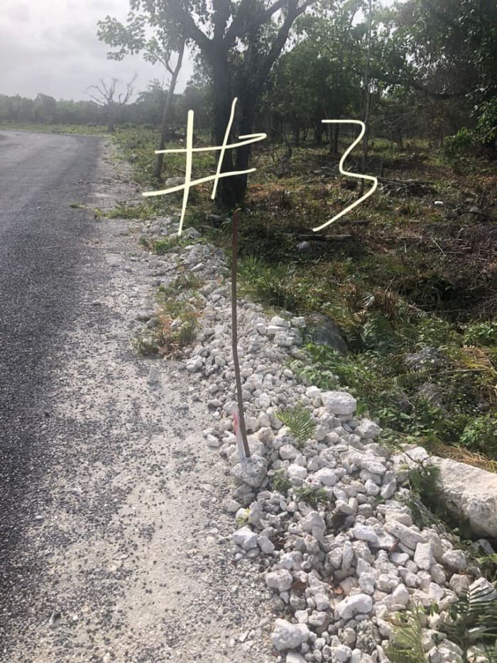 En Venta Terreno ubicado en Bávaro Punta Cana - foto 3