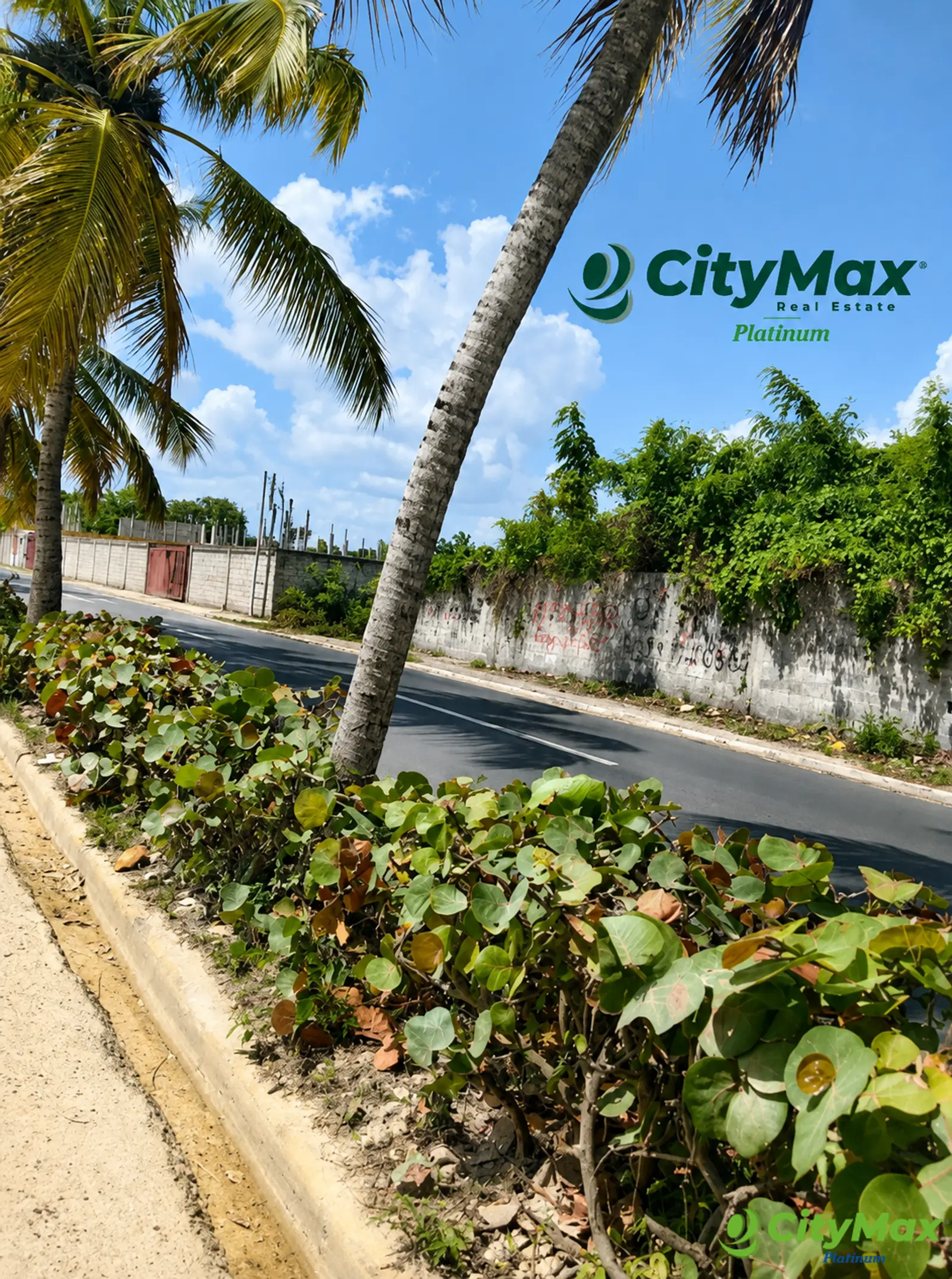 Solar Comercial en Venta – Autopista Las Américas - foto 1