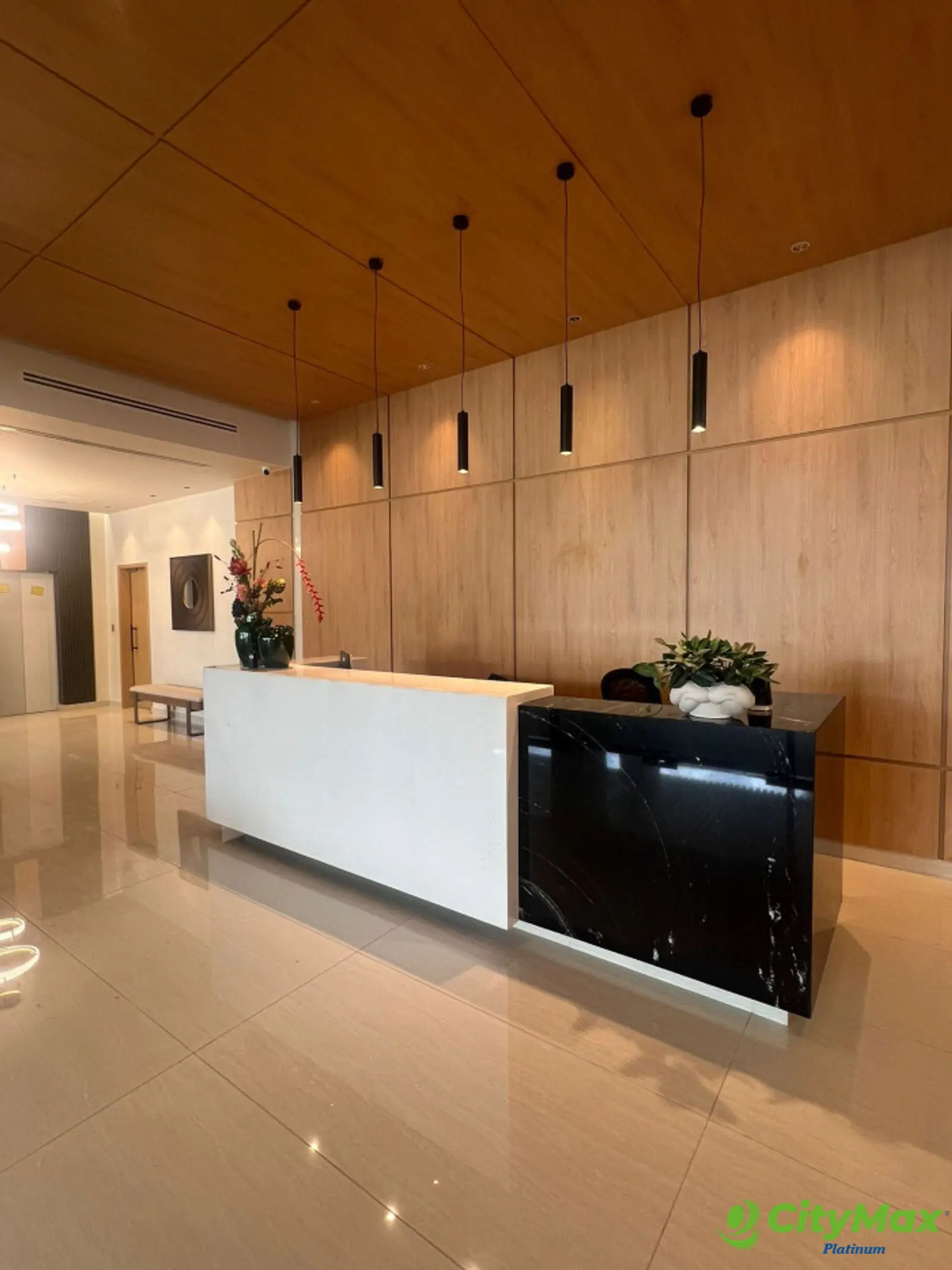 Penthouse en Venta, en Alma Rosa, Santo Domingo Este - foto 13