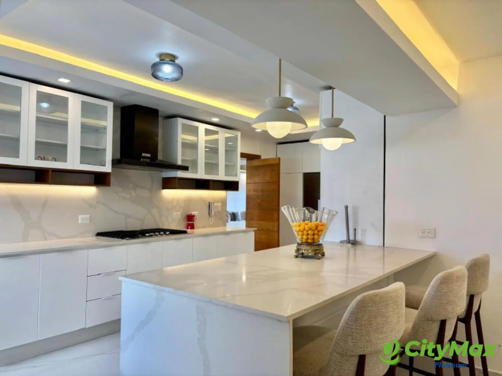 En la Av. Anacaona apartamento en venta y alquiler - foto 28