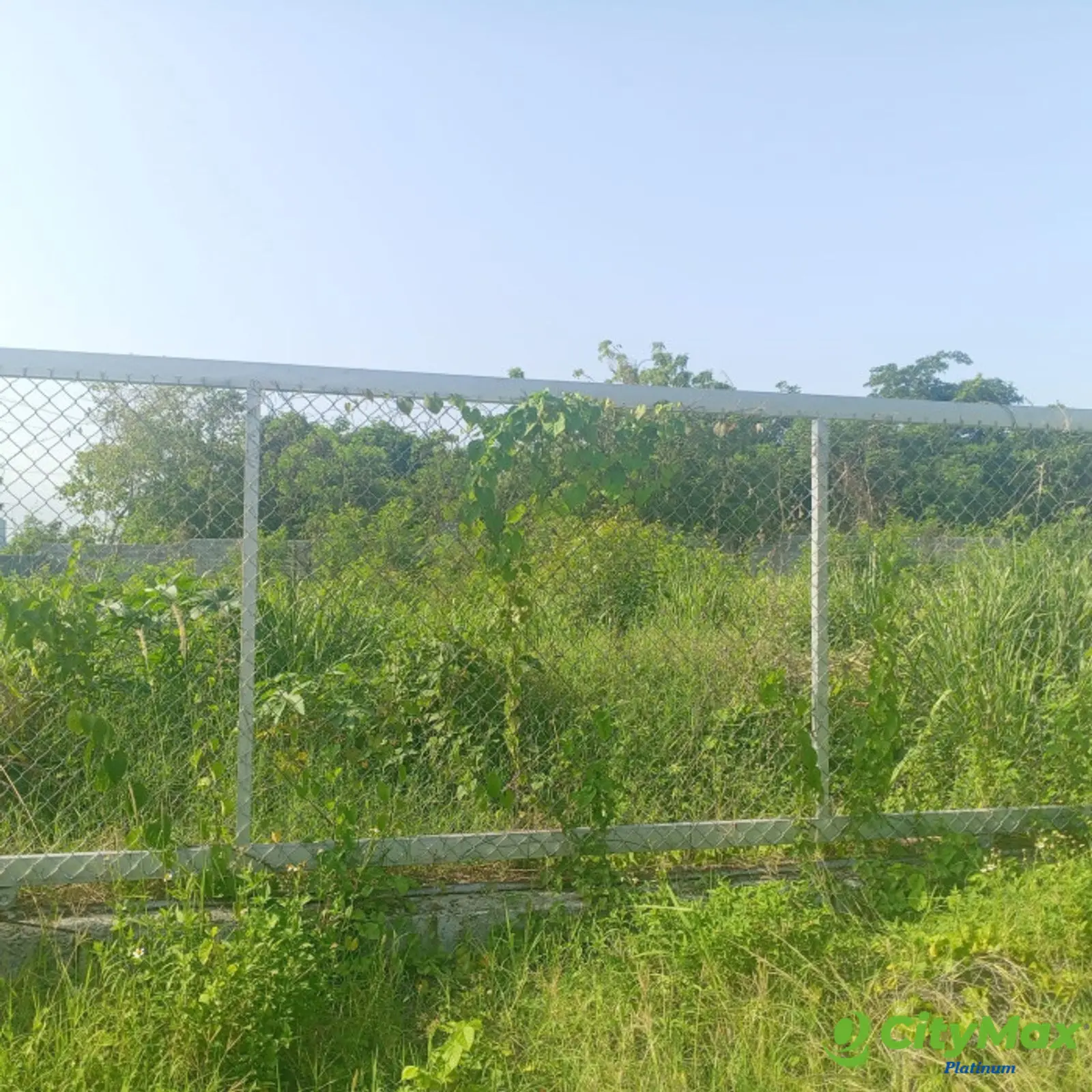 Solar Comercial en Venta – Autopista Las Américas  - foto 3