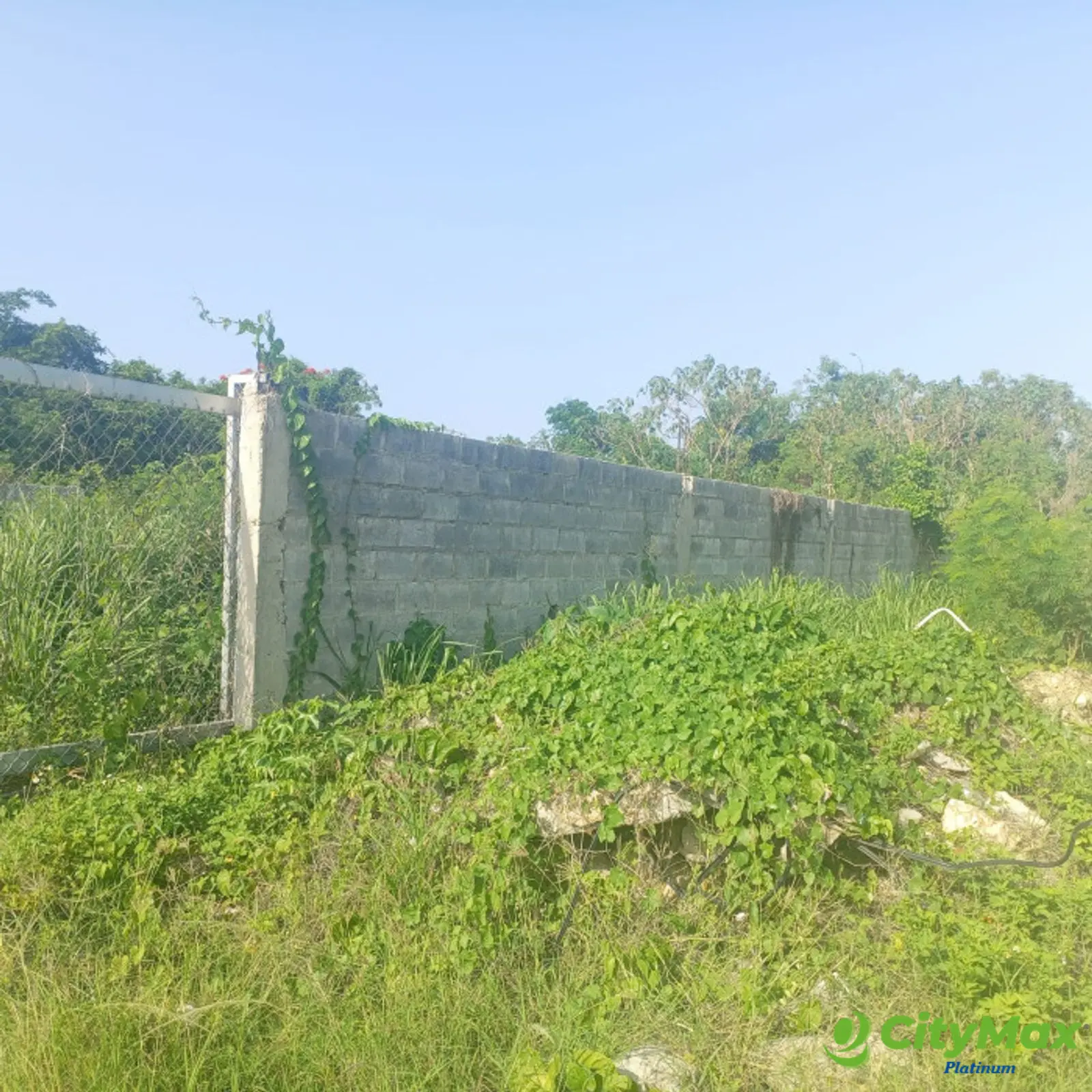 Solar Comercial en Venta – Autopista Las Américas  - foto 5