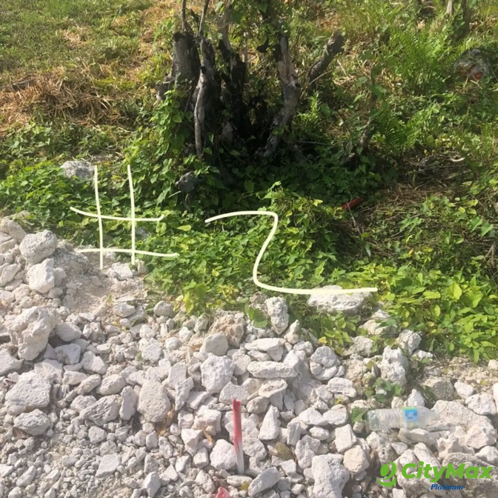 En Venta Terreno ubicado en Bávaro Punta Cana - foto 2