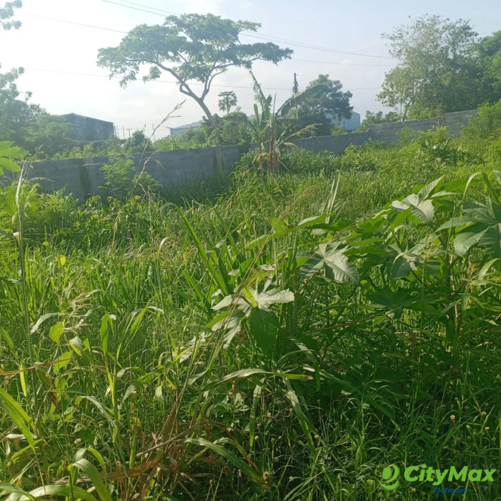 Solar Comercial en Venta – Autopista Las Américas  - foto 4