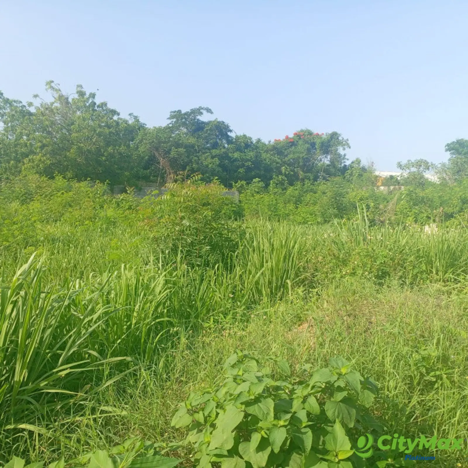 Solar Comercial en Venta – Autopista Las Américas  - foto 2